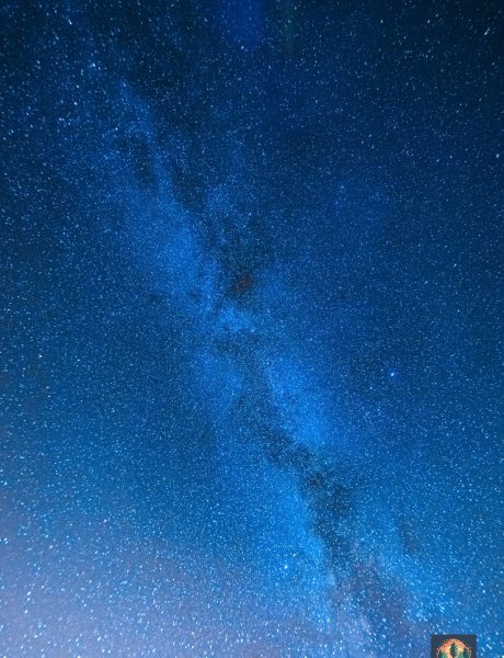 constelaciones-familiares